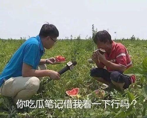 同学搞对象吃瓜,揭秘同学搞对象的甜蜜故事