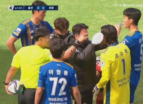 日本k联赛吃瓜,揭秘赛场背后的“吃瓜”故事