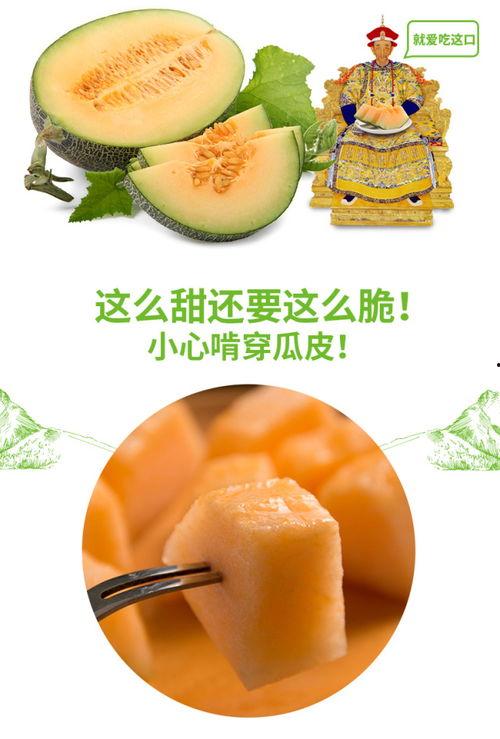 黑虎吃蜜瓜,蜜瓜诱惑下的神秘探险