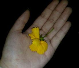 吃红瓜的视频素材,视频带你领略美味瞬间