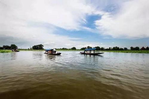 安新吃瓜来龙去脉,揭秘事件真相与舆论走向