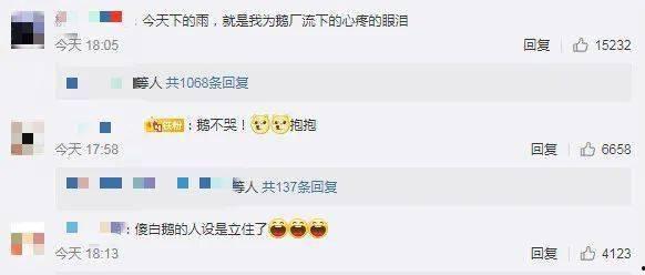 吃瓜群号QQ,一场网络社交的狂欢盛宴