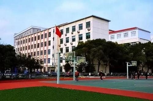 莆田学院北区吃瓜,校园“吃瓜”盛况一瞥