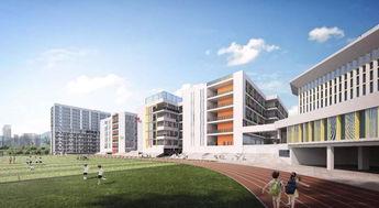 莆田学院北区吃瓜,校园“吃瓜”盛况一瞥